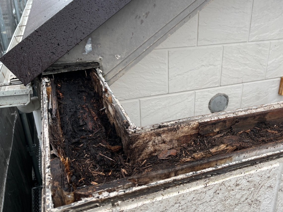 85 | 防水工事は神奈川県横浜市の横浜防水職人 笠木漏水状況